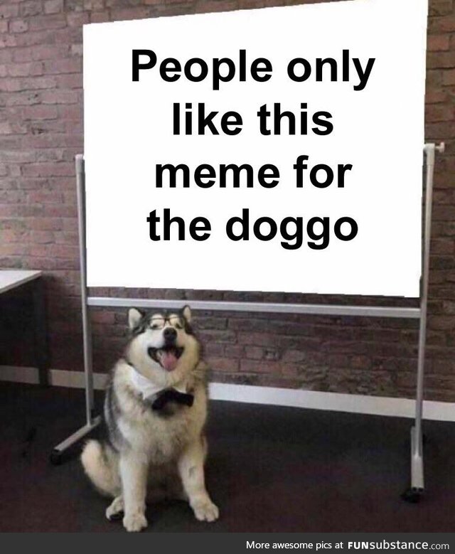 But he's a good boi