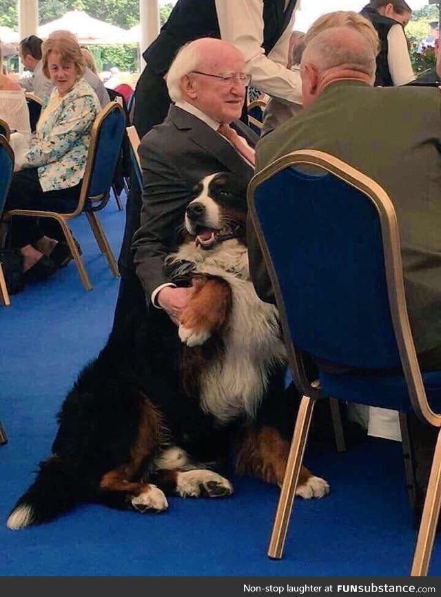 The Irish President with his dog