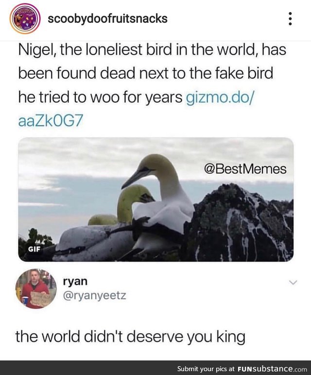 Rip Nigel