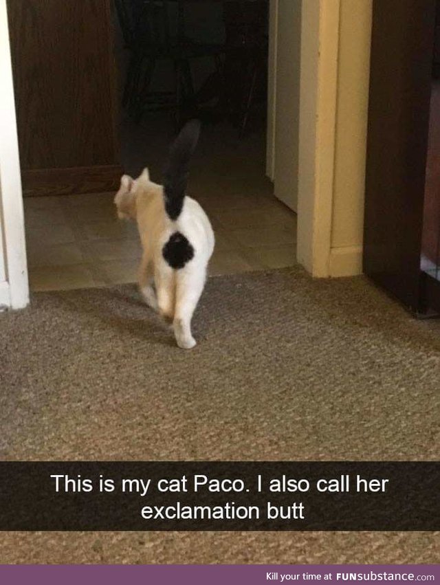 Paco!