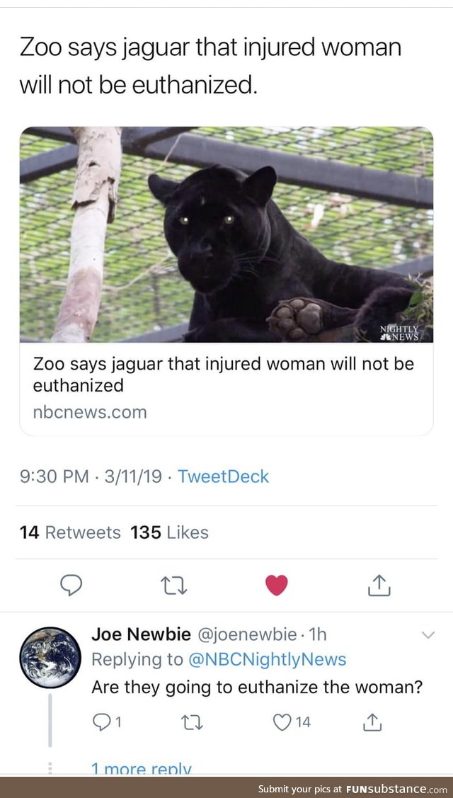 Fair question after idiot woman breaks into jaguar cage to take a selfie