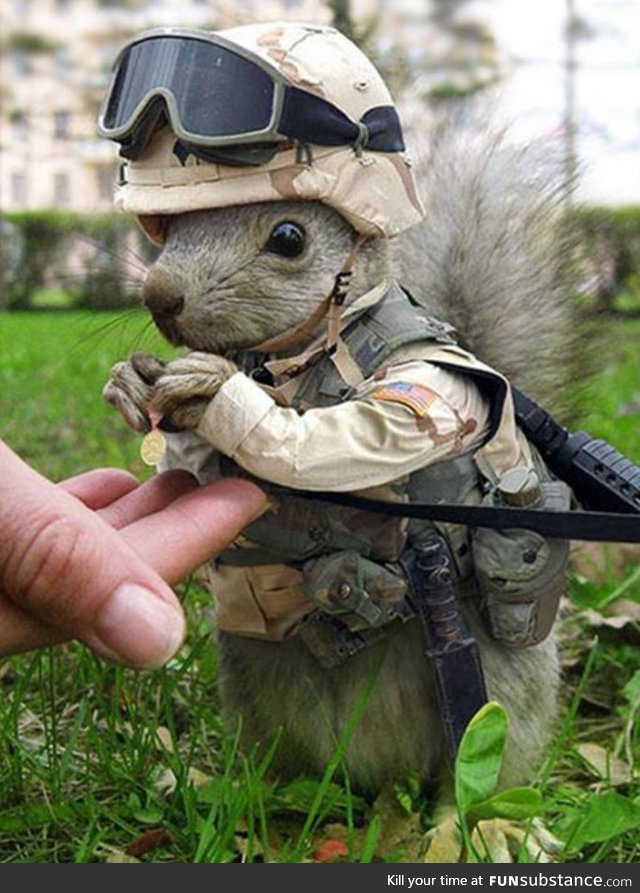 I googled marine animals and was not disappointed