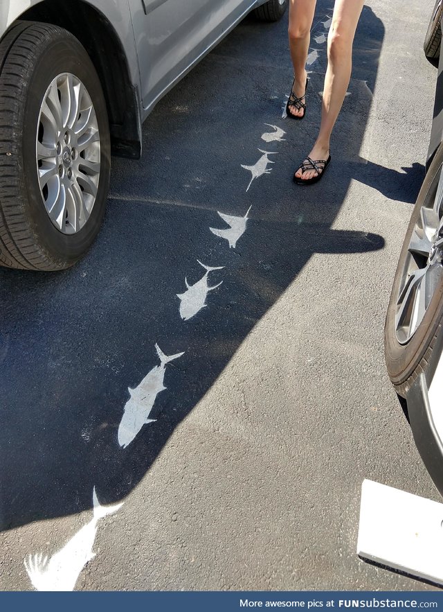 Parking lot lines in the Florida Keys are shaped like fish