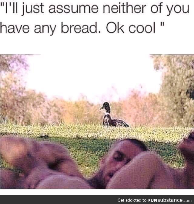 Poor duck only wanted some bread