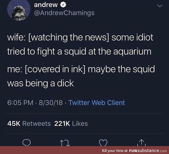Stupid squid