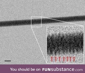 The closest we can see dna right now