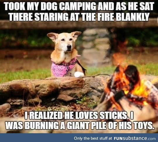 My dog won't go camping with me anymore
