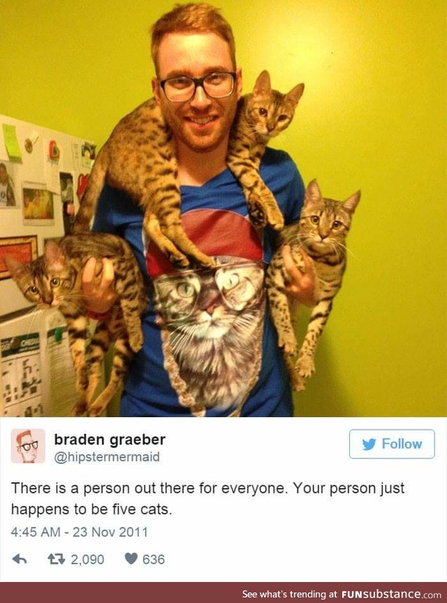 Get you someone with 5 cats