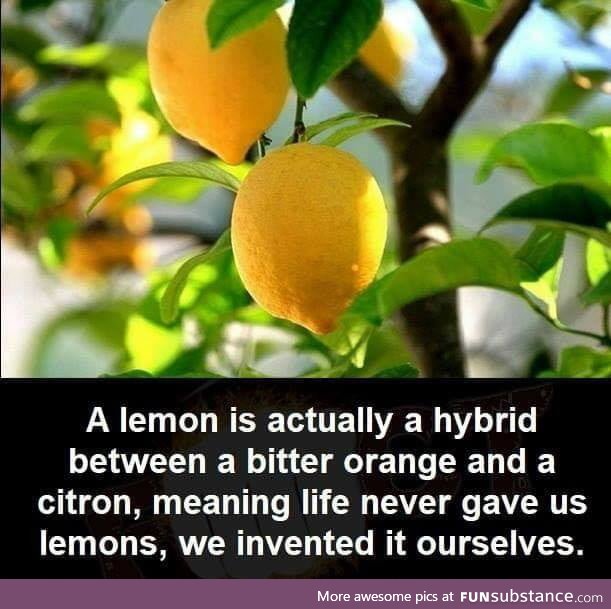Life din`t ever give us lemons it was all a lie