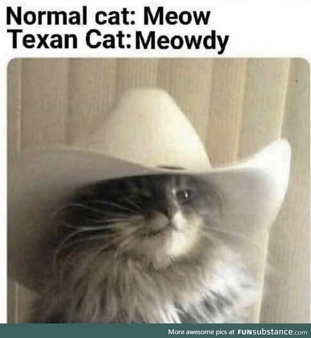 You have yeed your last meow