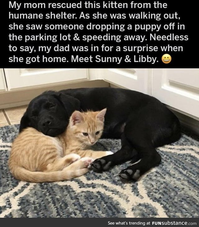 Made me smile. They will be best friends