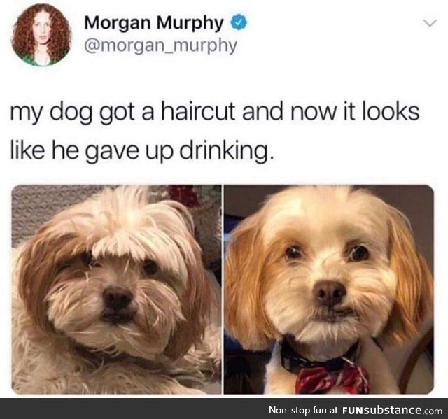 "My name is Dog, and I am an alcoholic."