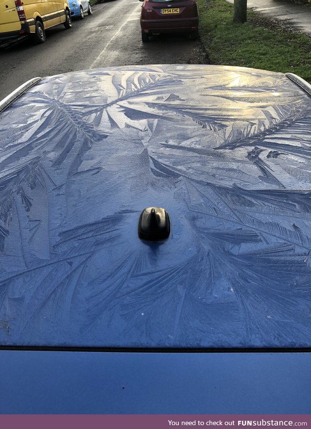 Morning ice on my car looked well cool