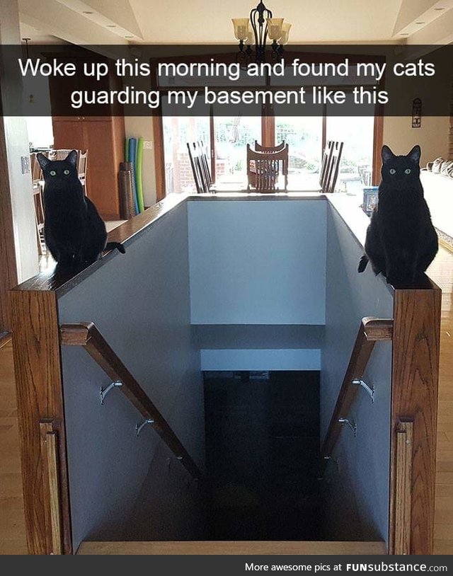 Safest basement