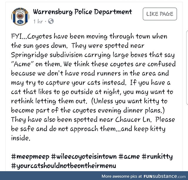 My towns PD at it again