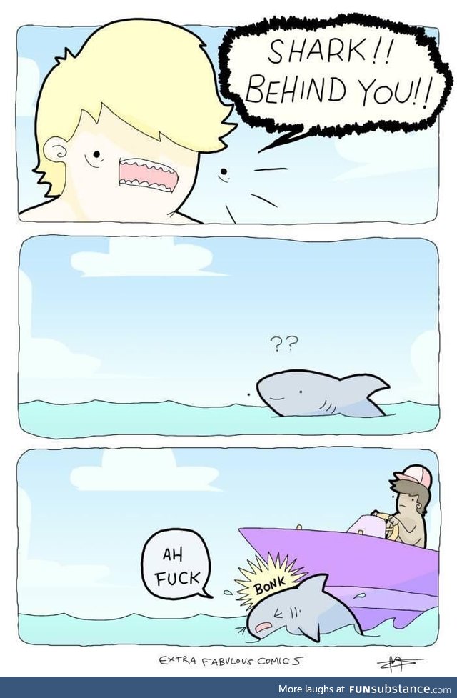 Watch out, Shark!