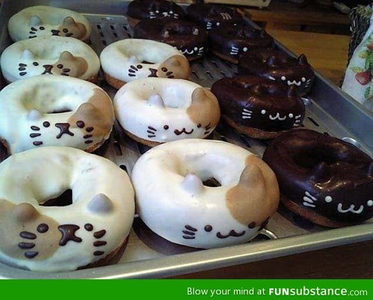 Kitty donuts
