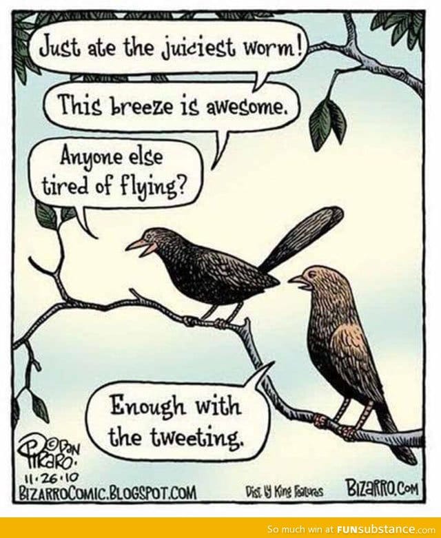 Bird tweeting
