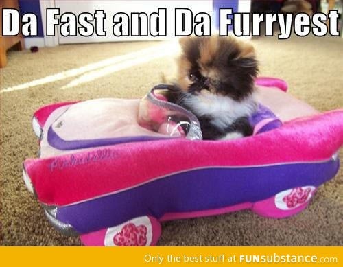 The fast and the furriest