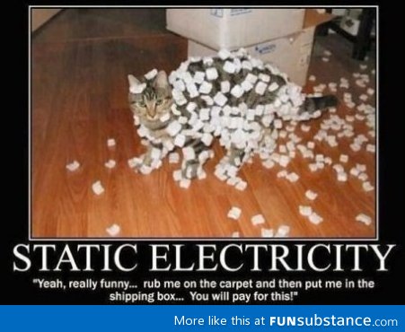 Cats and Electricity