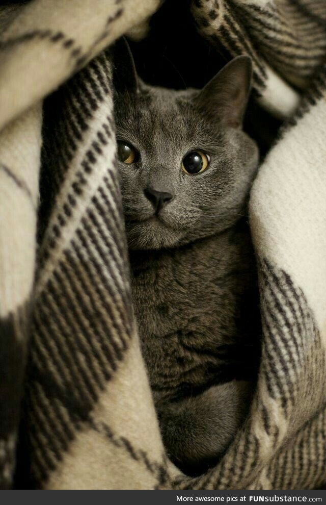 Cosy and cute