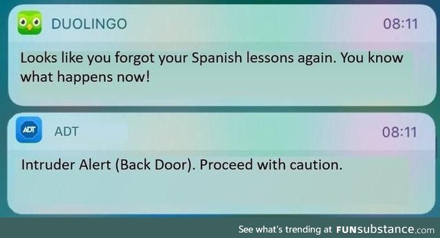 You forgot your Spanish lessons again
