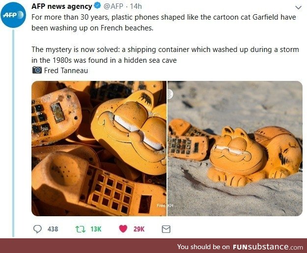 Cursed garf items