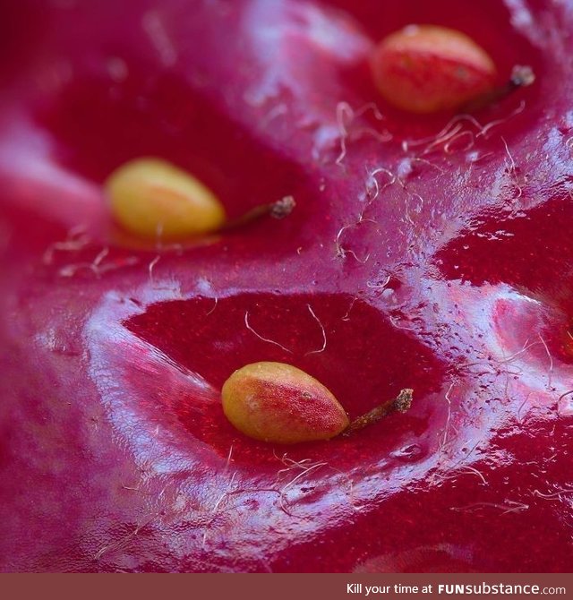Magnified surface of a strawberry