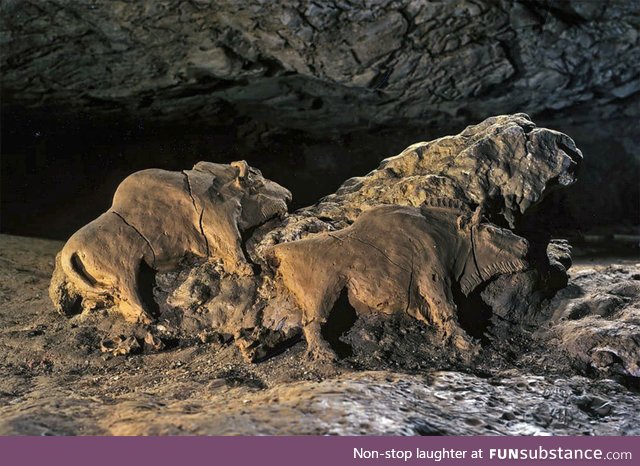 15,000 year old Bison sculpture found in Le Tuc d'Audoubert cave, France