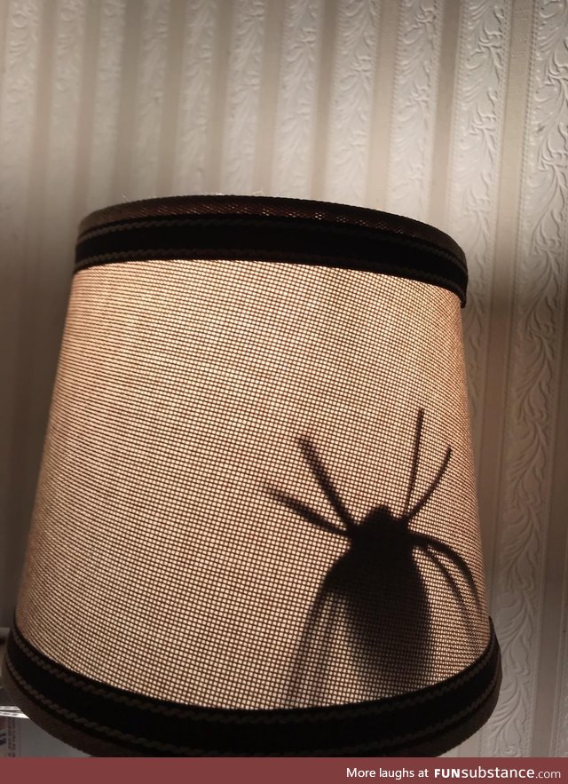 Completely unprompted, my son cut a paper spider out and taped it inside my wife's lamp