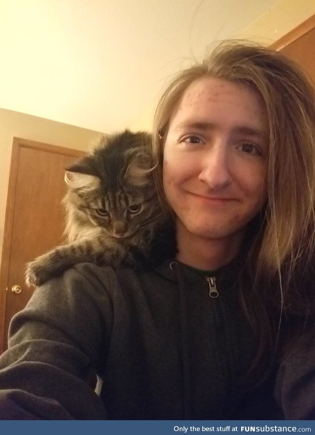 I love my shoulder cat