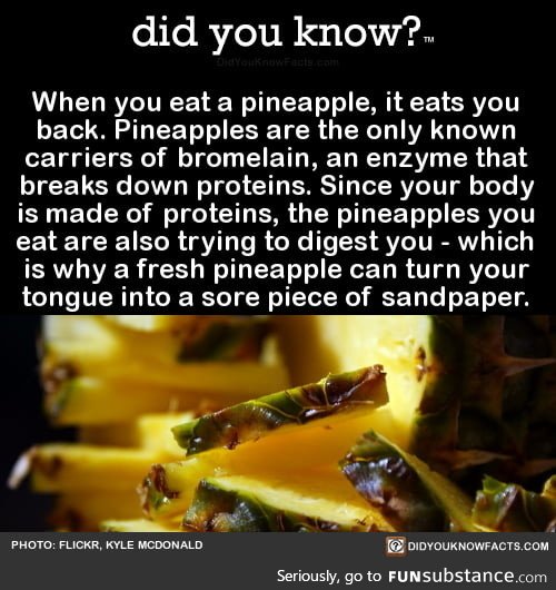 This is why you MUST NOT put pineapple on pizza