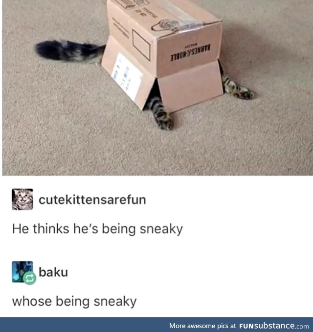 Sneaky one