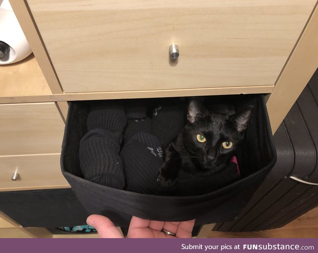 My socks seem irritated to see me