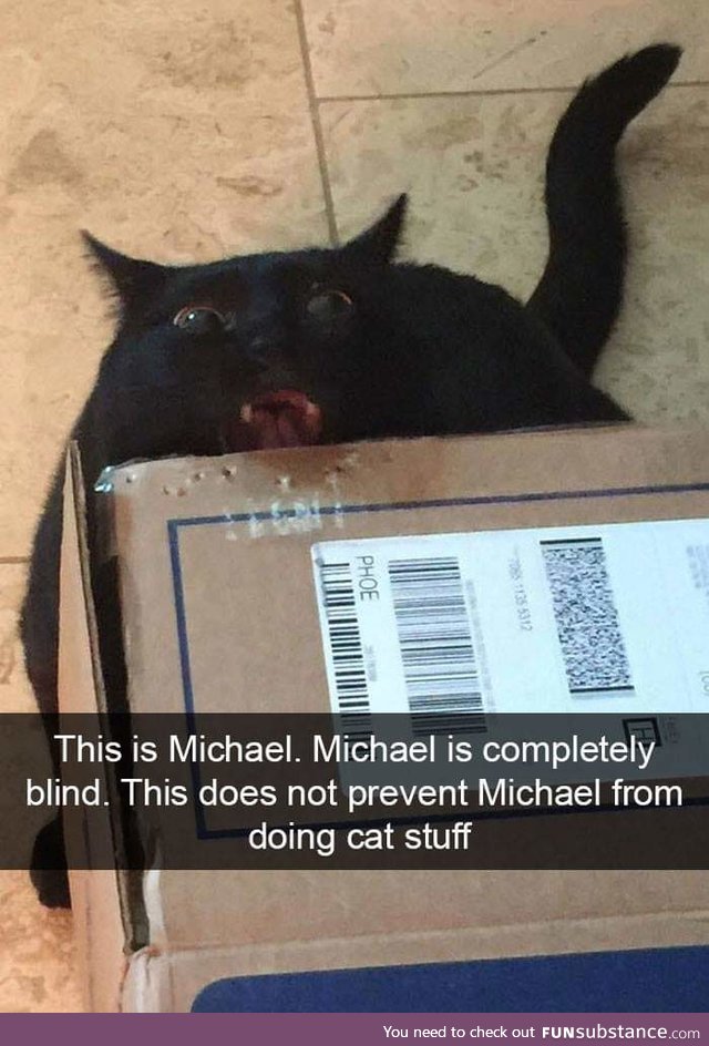 Michael is precious