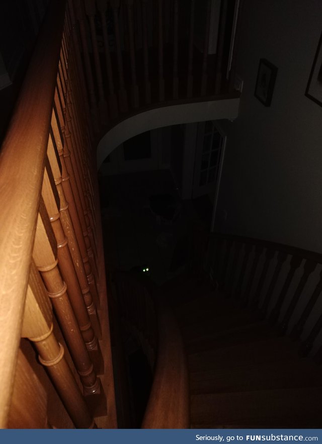 My Cats eyes in the dark