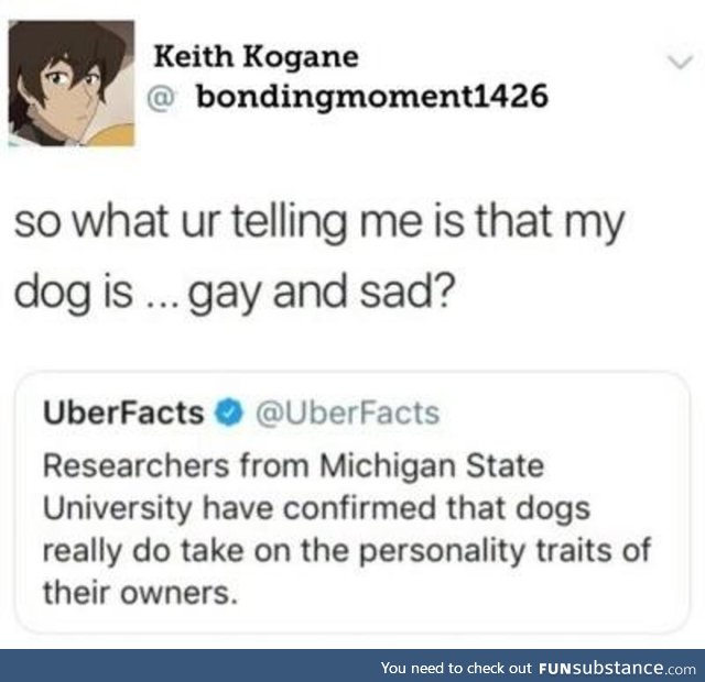 Gay dog