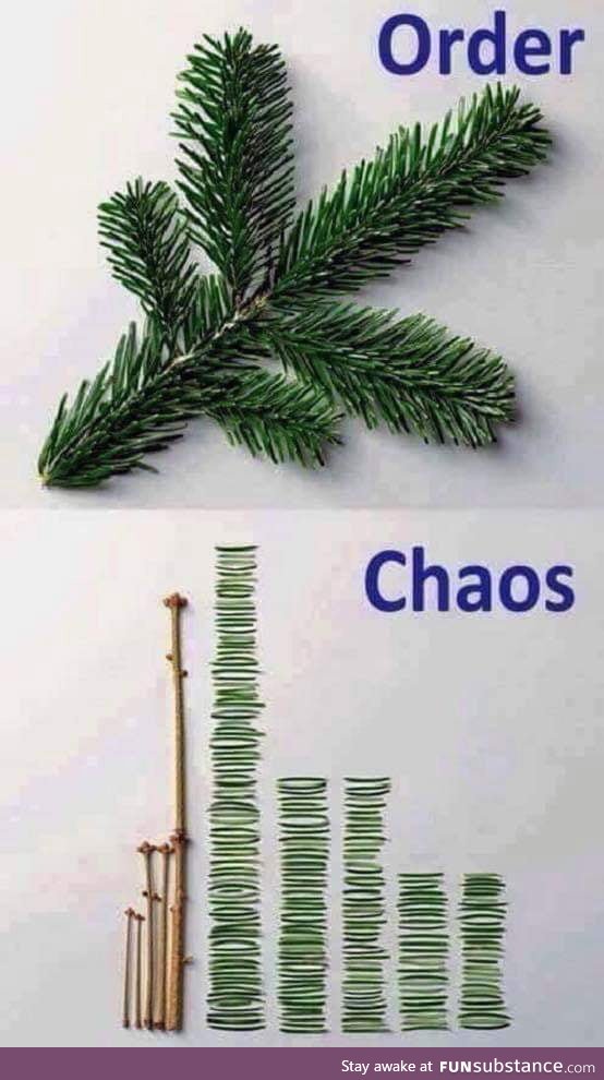 Chaos or Order ?