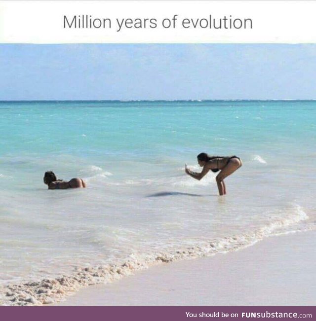 Evolution is amazing