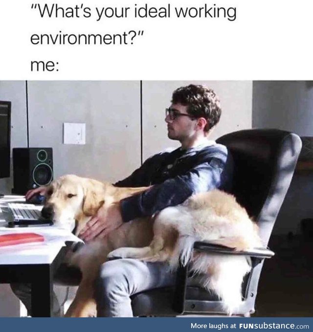 My ideal group project
