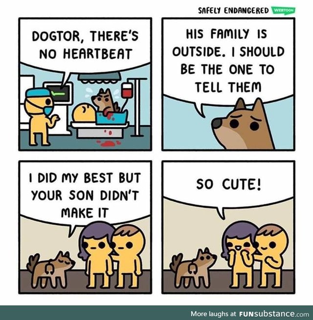 Dogtor