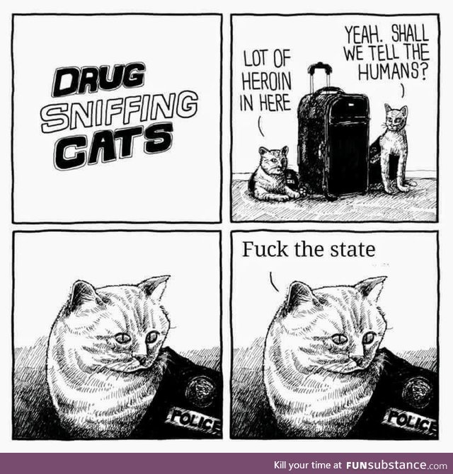 Drug sniffing cats