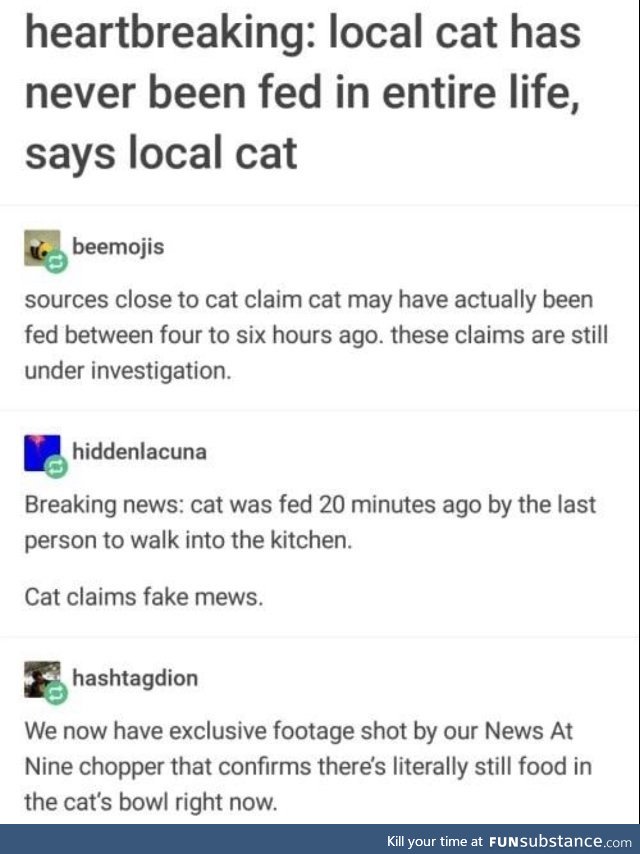 Cat Owners Know What’s Up