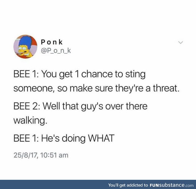 This describes my experiences with bees