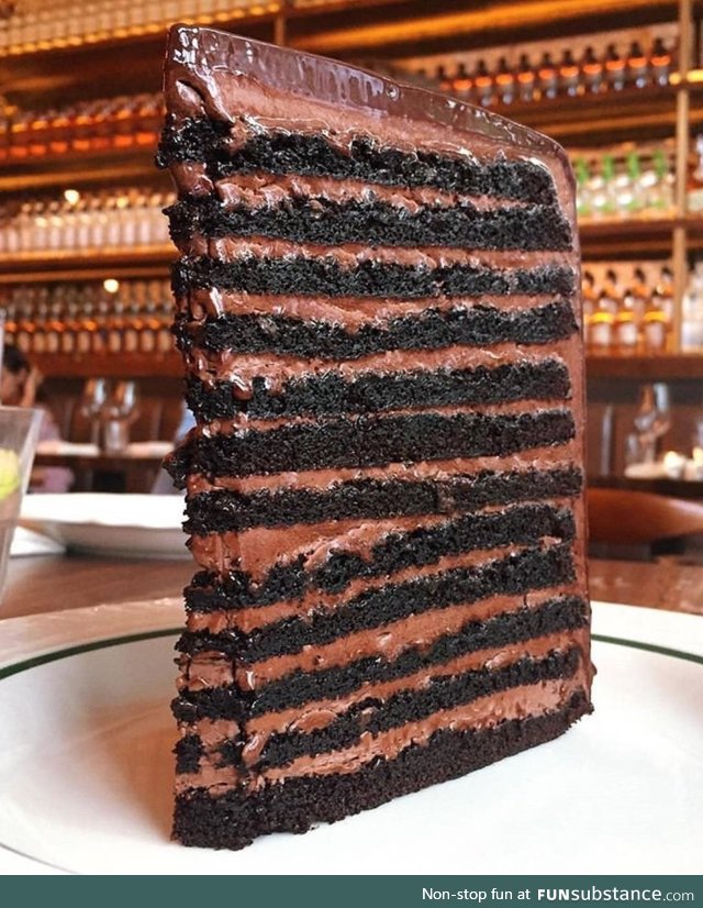 24 layer chocolate cake in all its glory