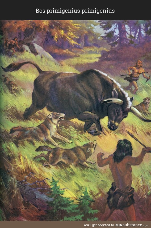 Daily Dose of Prehistory: Back From Extinction 95