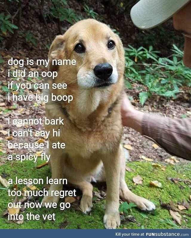 My name is doge