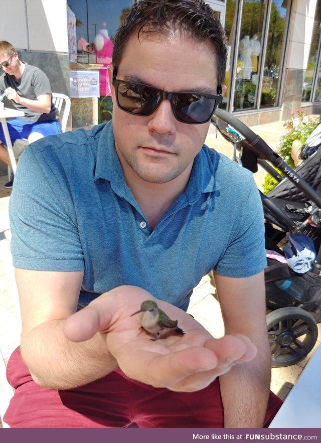 Hummingbird landed on me today! Guess he wanted some of my ice cream
