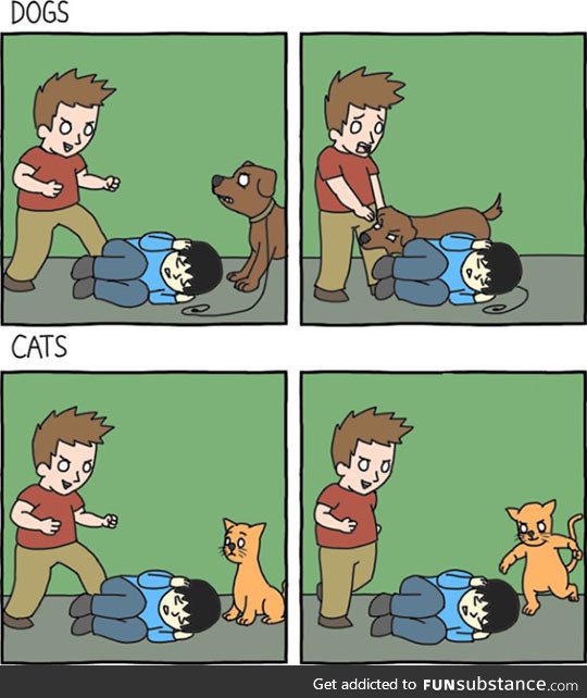 Dogs vs cats, the main difference