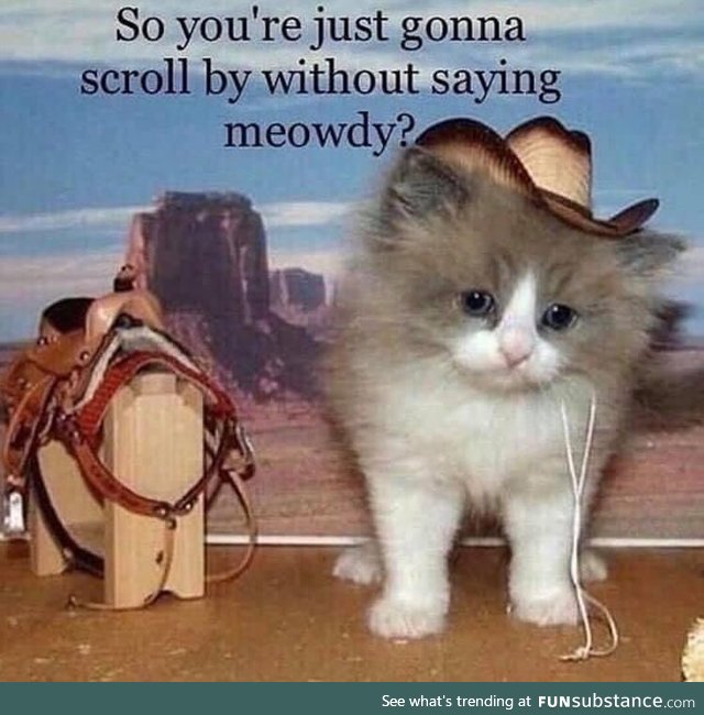 Meowdy, pardner